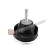 Support moteur GT-BERGMANN GT25-045 - Visuel 2