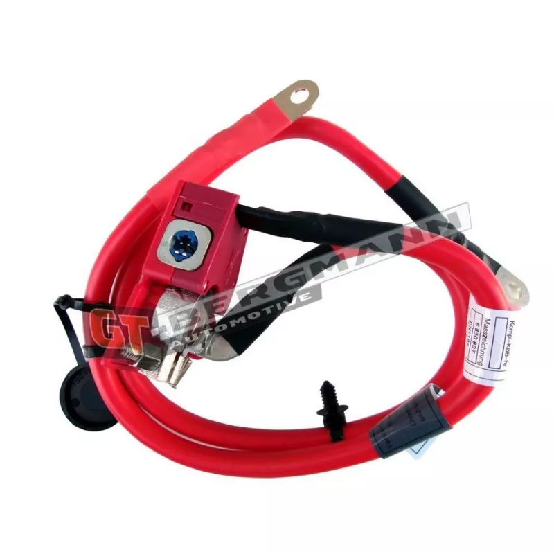 Adaptateur de batterie GT-BERGMANN GT40-018
