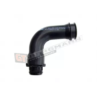 Gaine de suralimentation GT-BERGMANN GT52-100