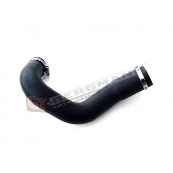 Gaine de suralimentation GT-BERGMANN GT52-110