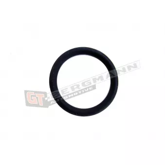 Joint, bride de liquide de refroidissement GT-BERGMANN