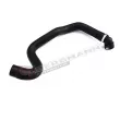 Durite de radiateur GT-BERGMANN GT52-142 - Visuel 1