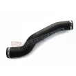 Gaine de suralimentation avant droit GT-BERGMANN GT52-179 - Visuel 2