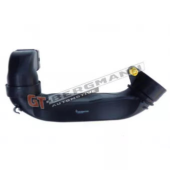Tuyau d'aspiration, alimentation d'air GT-BERGMANN GT52-255
