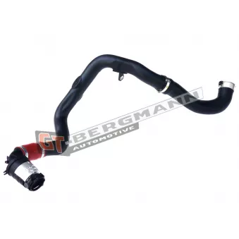 Gaine de suralimentation GT-BERGMANN GT52-260