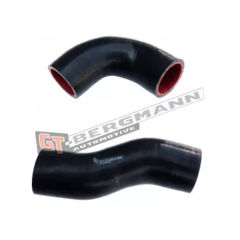 Gaine de suralimentation GT-BERGMANN GT52-263