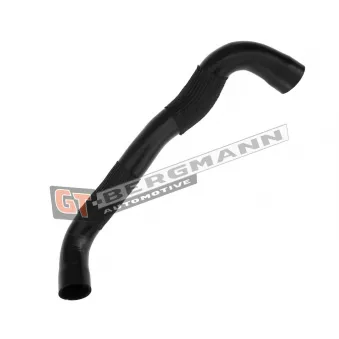 Gaine de suralimentation GT-BERGMANN GT52-272