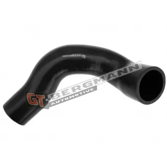 Gaine de suralimentation GT-BERGMANN GT52-314