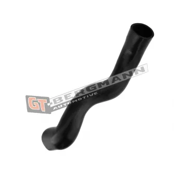 Gaine de suralimentation GT-BERGMANN GT52-315