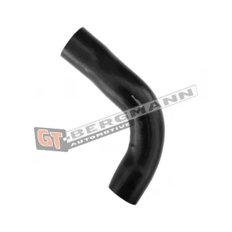 Gaine de suralimentation GT-BERGMANN GT52-317