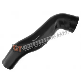 Gaine de suralimentation GT-BERGMANN GT52-319