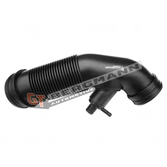 Tuyau d'aspiration, alimentation d'air GT-BERGMANN GT52-385