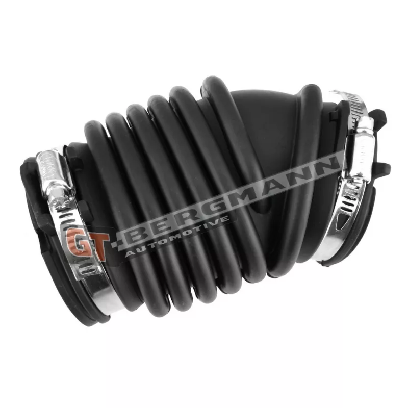 Tuyau d'aspiration, alimentation d'air GT-BERGMANN GT52-425