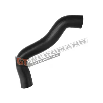 Gaine de suralimentation GT-BERGMANN GT52-541