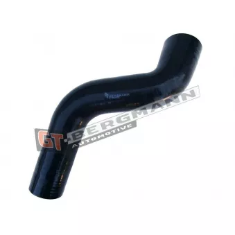 Gaine de suralimentation GT-BERGMANN GT52-667