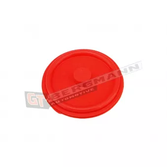 Diaphragme, ventilation du carter-moteur GT-BERGMANN GT58-013