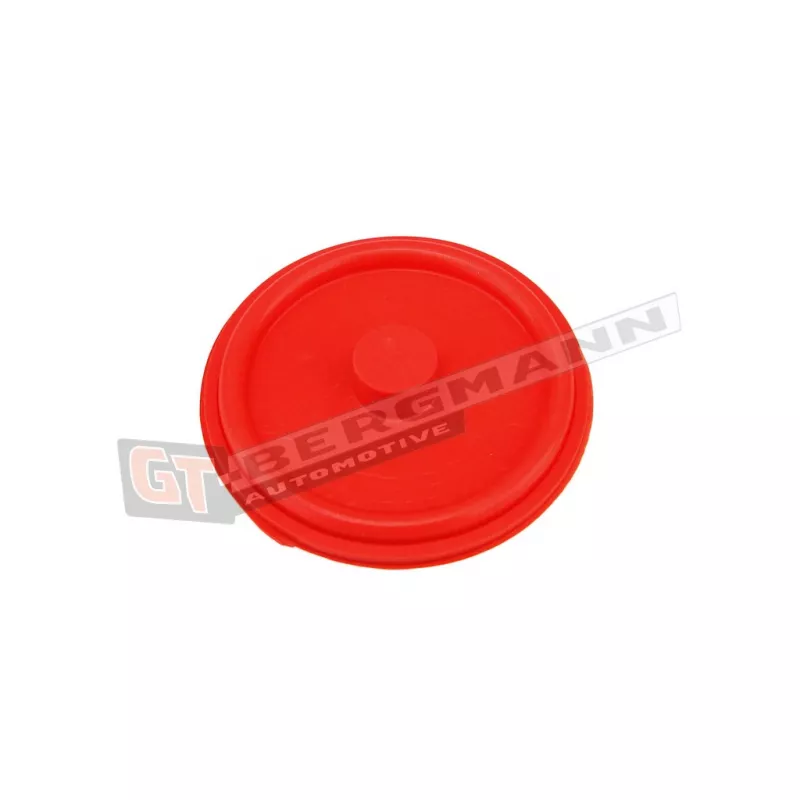Diaphragme, ventilation du carter-moteur GT-BERGMANN GT58-013