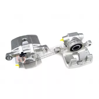 Étrier de frein GT-BERGMANN