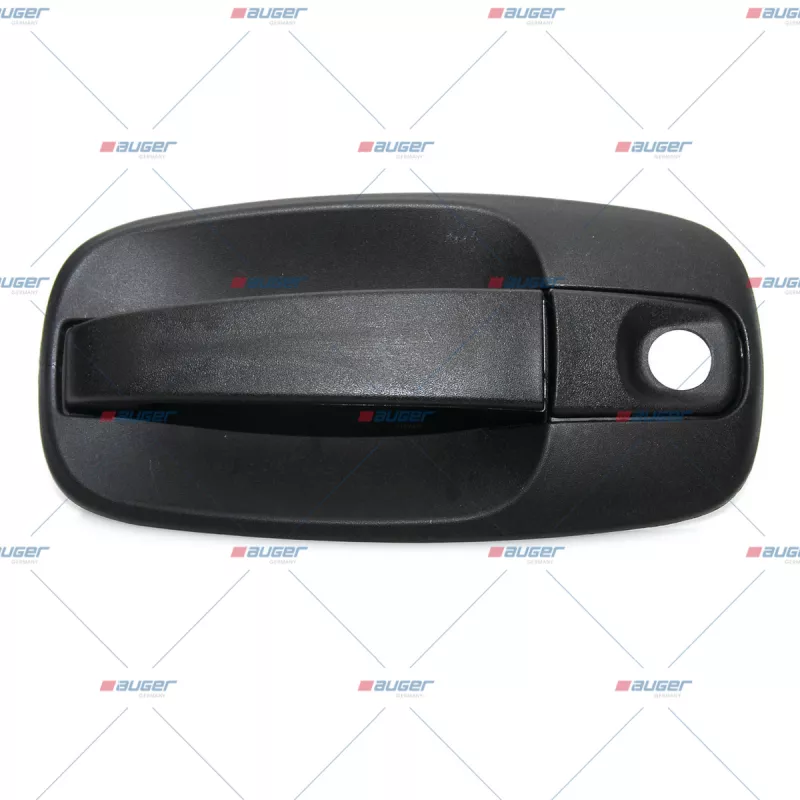 Poignée de porte AUGER 66393