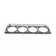 Joint, culasse STELLOX 11-25033-SX - Visuel 1