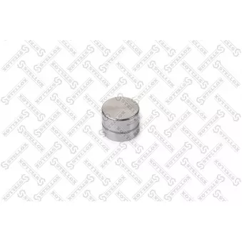 Poussoir de soupape STELLOX
