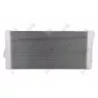 Radiateur, refroidissement du moteur ABAKUS 004-017-0057 - Visuel 2