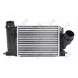 Intercooler, échangeur ABAKUS 035-018-0011 - Visuel 1