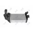 Intercooler, échangeur ABAKUS 037-018-0034 - Visuel 3