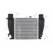 Intercooler, échangeur ABAKUS 042-018-0003 - Visuel 2