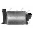 Intercooler, échangeur ABAKUS 042-018-0017 - Visuel 1