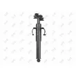 Gicleur d'eau de nettoyage, nettoyage des phares avant droit ABAKUS 103-03-138 - Visuel 3