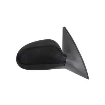 Rétroviseur extérieur ABAKUS 1513M08