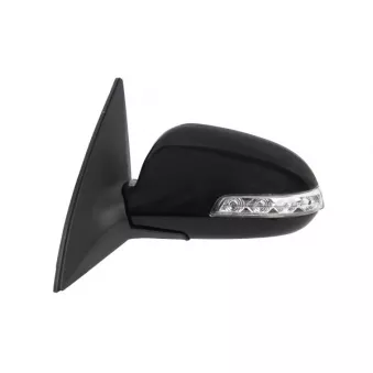 Rétroviseur extérieur ABAKUS 1513M11