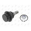Rotule de suspension ABAKUS 233-03-012 - Visuel 2