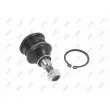 Rotule de suspension ABAKUS 233-03-013 - Visuel 2