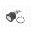 Rotule de suspension ABAKUS 233-03-016 - Visuel 3