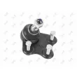Rotule de suspension avant droit ABAKUS 233-03-514 - Visuel 1