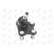 Rotule de suspension avant gauche ABAKUS 233-03-515 - Visuel 1