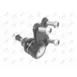 Rotule de suspension avant gauche ABAKUS 233-03-515 - Visuel 2