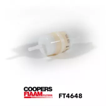 Filtre à carburant CoopersFiaam