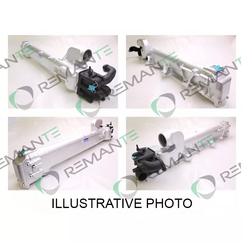 Module-EGR REMANTE 010-001-000267R