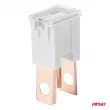 Fusibles automobiles JAPVAL PAL mâles 2 pcs 120A - AMIO 03404 - Visuel 2