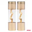 Fusibles en verre AGU 2 pcs. 40A - AMIO 03485 - Visuel 2