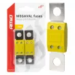 Fusibles automobiles MEGAVAL MTA 2 pcs. 100A - AMIO 03463 - Visuel 1