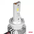 Ampoules LED à filament série D-Basic D4S D4R 6000K Canbus - AMIO 03629 - Visuel 2