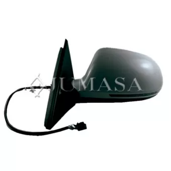Rétroviseur extérieur JUMASA