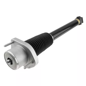 Jeu de 2 amortisseurs arrière TEKNÖR A-LR-015