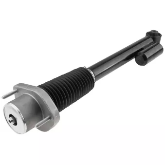 Jeu de 2 amortisseurs arrière TEKNÖR A-LR-018