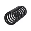 Ressort de suspension TEKNÖR ASZ-AU-018 - Visuel 2