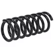 Ressort de suspension TEKNÖR ASZ-CH-011 - Visuel 2